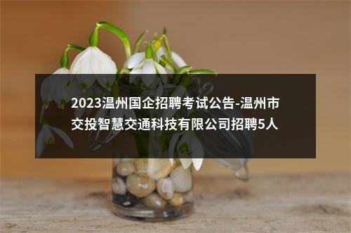 2023温州国企招聘考试公告-温州市交投智慧交通科技有限公司招聘5人 图片