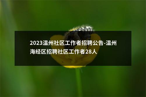 2023温州社区工作者招聘公告-温州海经区招聘社区工作者28人 图片