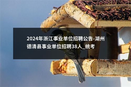 2024年浙江事业单位招聘公告-湖州德清县事业单位招聘38人_统考 图片