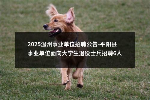 2025温州事业单位招聘公告-平阳县事业单位面向大学生退役士兵招聘6人 图片