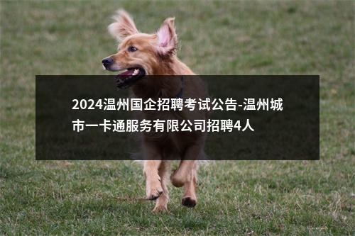 2024温州国企招聘考试公告-温州城市一卡通服务有限公司招聘4人 图片